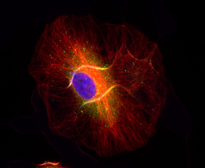 Galaxias microscópicas
